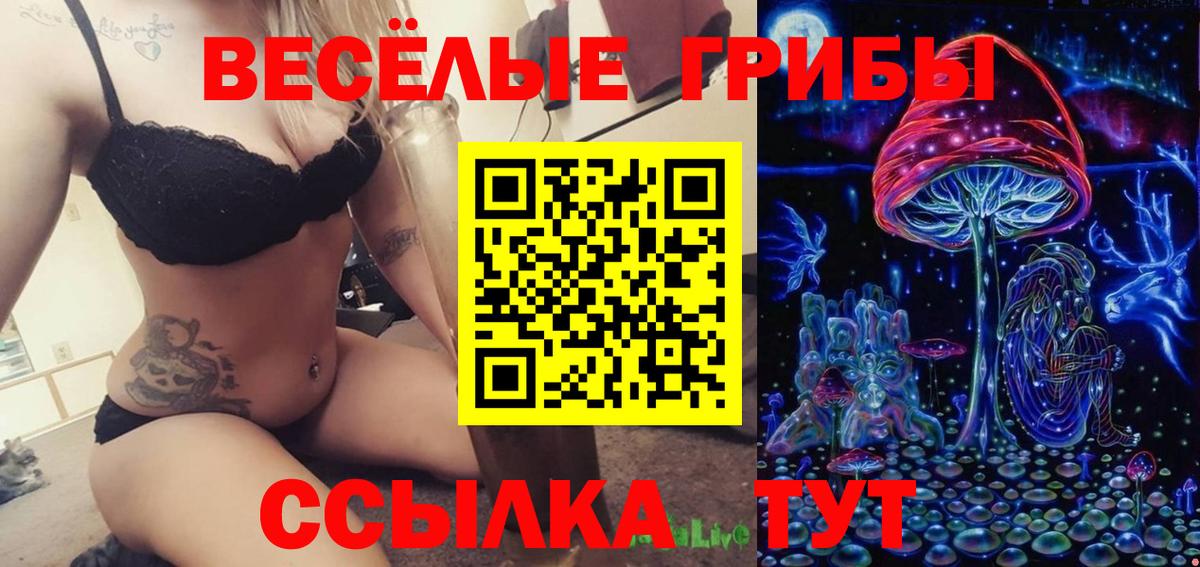 Курск  Псилоцибиновые грибы Psilocybine cubensis  Вход с VPN  Псилоцибиновые грибы GOLDEN TEACHER 