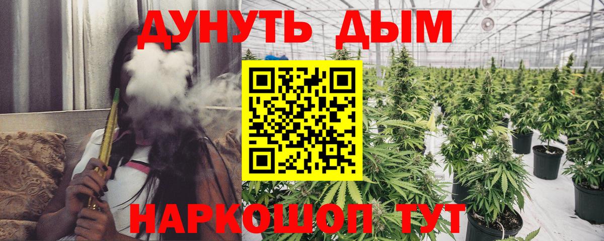 Каннабис план Курск