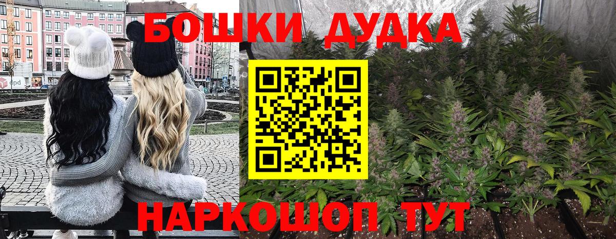 Курск  Каннабис планчик  Вход с VPN  Бошки Шишки AK-47 
